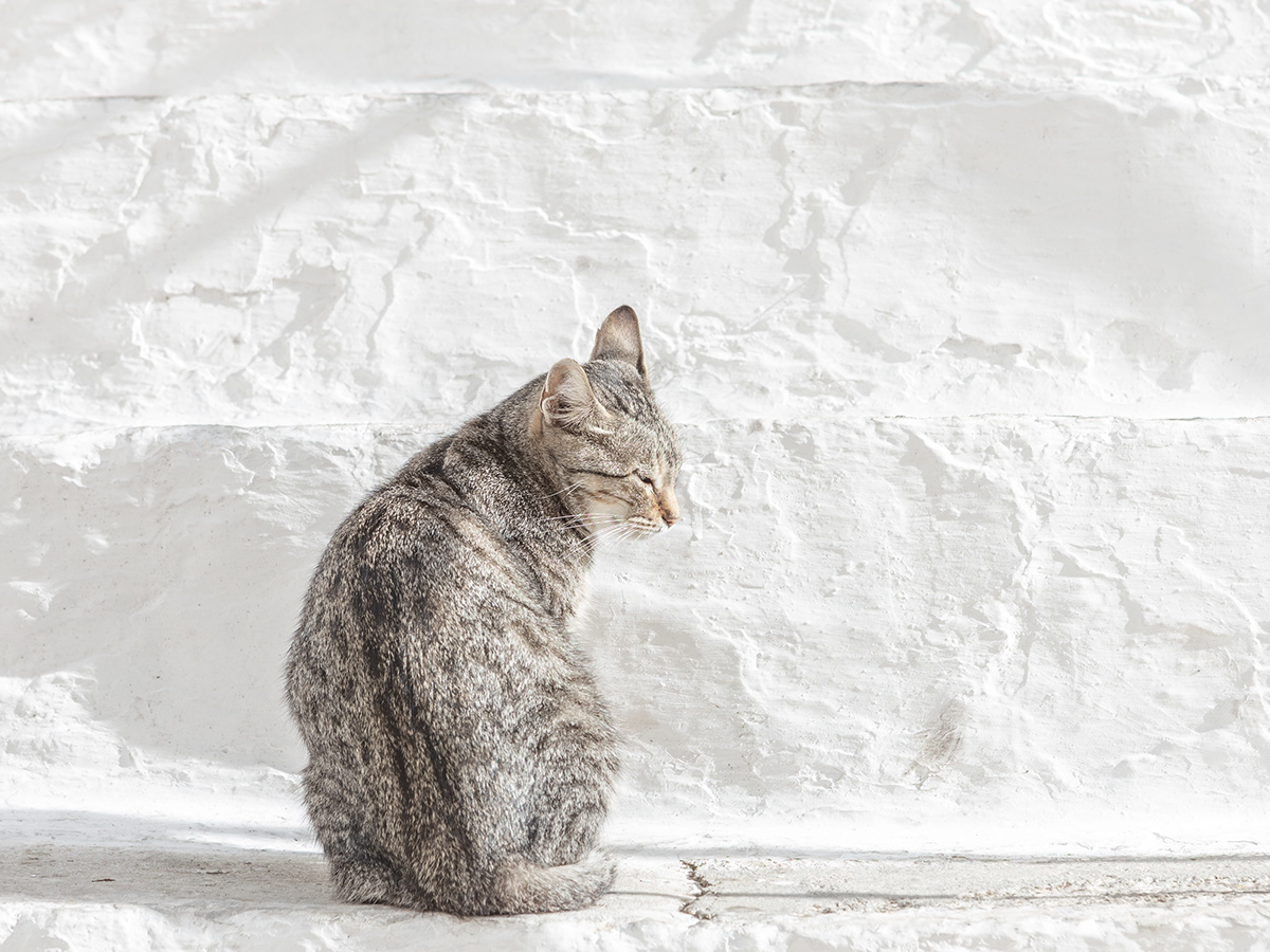 Ostuni - la ville blanche par Tiago & Tania Ostuni la ville blanche par Tiago Tania 6 Ostuni-la-ville-blanche-par-Tiago-Tania-6