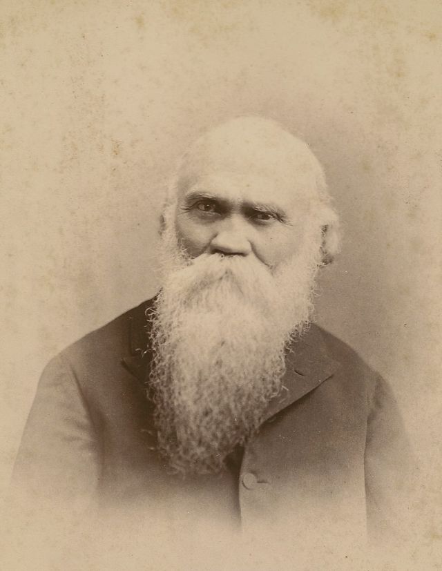 Quelques barbes et moustaches d'époque victorienne Quelques barbes et moustaches d epoque victorienne 18 Quelques-barbes-et-moustaches-d-epoque-victorienne-18