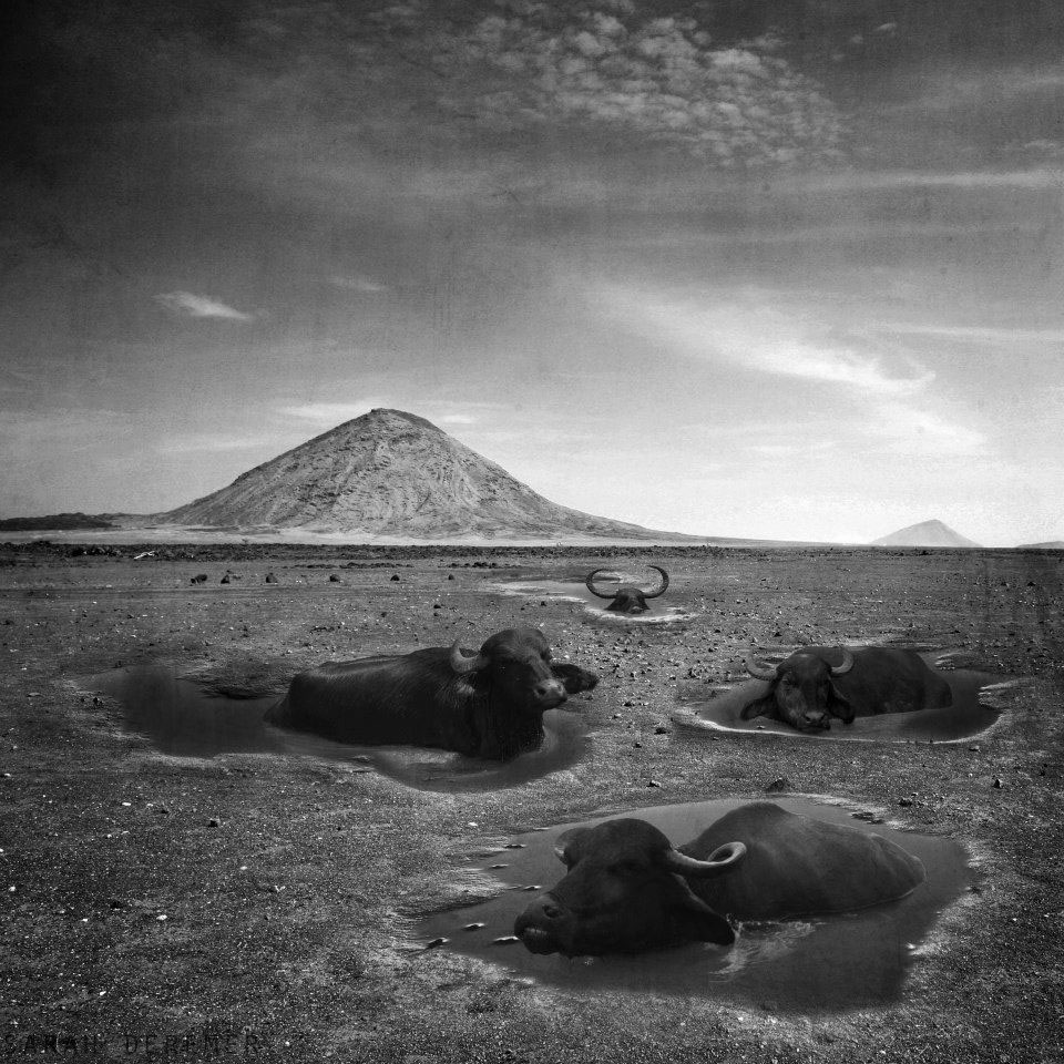 Surreal Experiments - des images surréalistes en noir et blanc par Sarah Deremer Surreal Experiments des images surrealistes en noir et blanc par Sarah Deremer 11 Surreal-Experiments-des-images-surrealistes-en-noir-et-blanc-par-Sarah-Deremer-11