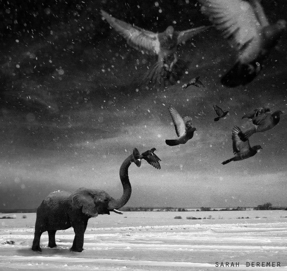 Surreal Experiments - des images surréalistes en noir et blanc par Sarah Deremer Surreal Experiments des images surrealistes en noir et blanc par Sarah Deremer 7 Surreal-Experiments-des-images-surrealistes-en-noir-et-blanc-par-Sarah-Deremer-7