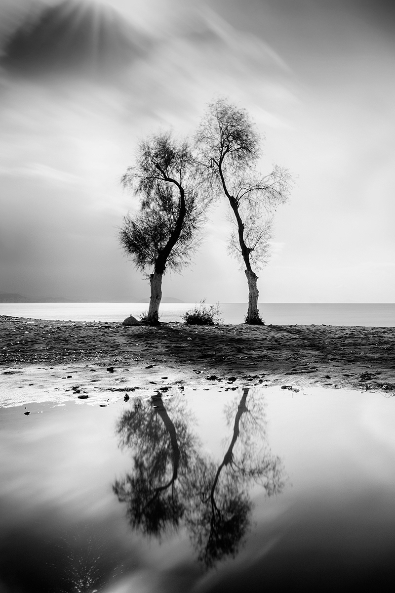 The Shape of Trees - la forme des arbres isolés par George Digalakis The Shape of Trees la forme des arbres isoles par George Digalakis 10 The-Shape-of-Trees-la-forme-des-arbres-isoles-par-George-Digalakis-10