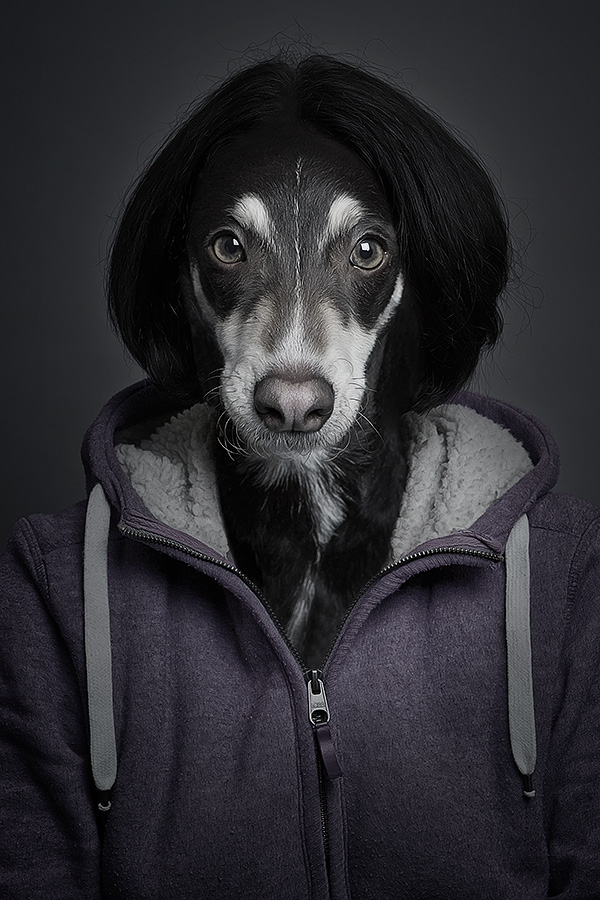 Underdogs - des chiens avec des perruques et des vêtements par Sebastian Magnani Underdogs des chiens avec des perruques et des vetements par Sebastian Magnani 2 Underdogs-des-chiens-avec-des-perruques-et-des-vetements-par-Sebastian-Magnani-2