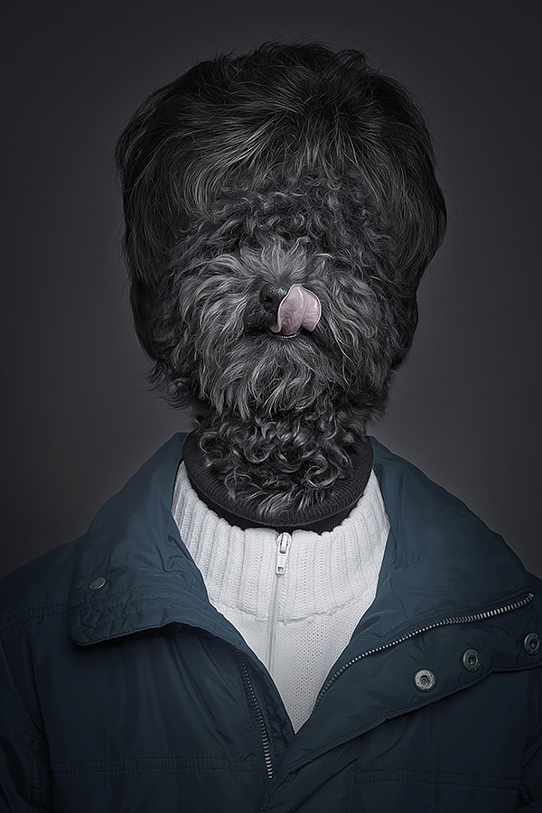 Underdogs - des chiens avec des perruques et des vêtements par Sebastian Magnani Underdogs des chiens avec des perruques et des vetements par Sebastian Magnani 4 Underdogs-des-chiens-avec-des-perruques-et-des-vetements-par-Sebastian-Magnani-4