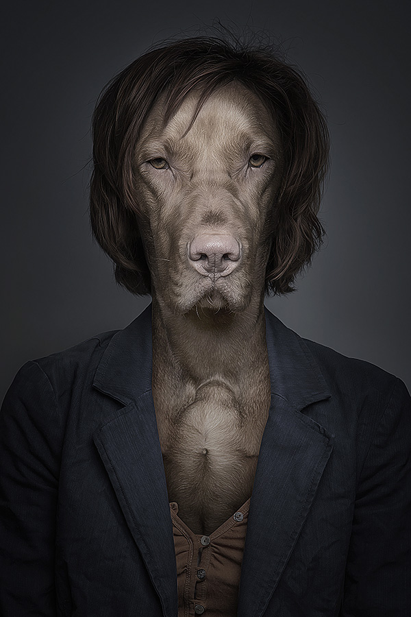 Underdogs - des chiens avec des perruques et des vêtements par Sebastian Magnani Underdogs des chiens avec des perruques et des vetements par Sebastian Magnani 6 Underdogs-des-chiens-avec-des-perruques-et-des-vetements-par-Sebastian-Magnani-6