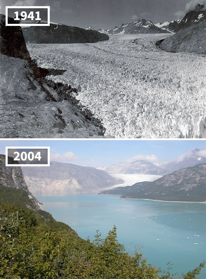 20 images avant - après de la NASA qui montrent le désastre du réchauffement climatique 20 images avant apres de la NASA qui montrent le desastre du rechauffement climatique 3 glacier de muir alaska 20-images-avant-apres-de-la-NASA-qui-montrent-le-desastre-du-rechauffement-climatique-3-glacier-de-muir-alaska