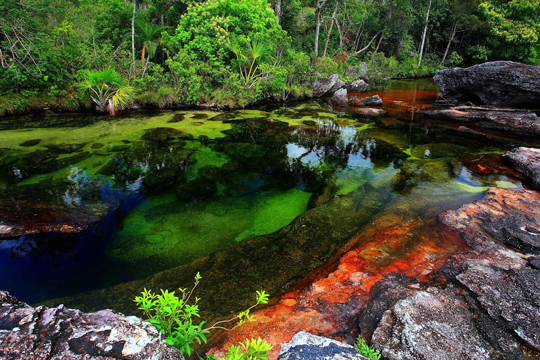 Caño Cristales - la rivière arc-en-ciel de Colombie Cano Cristales la riviere arc en ciel de Colombie 14 Cano-Cristales-la-riviere-arc-en-ciel-de-Colombie-14