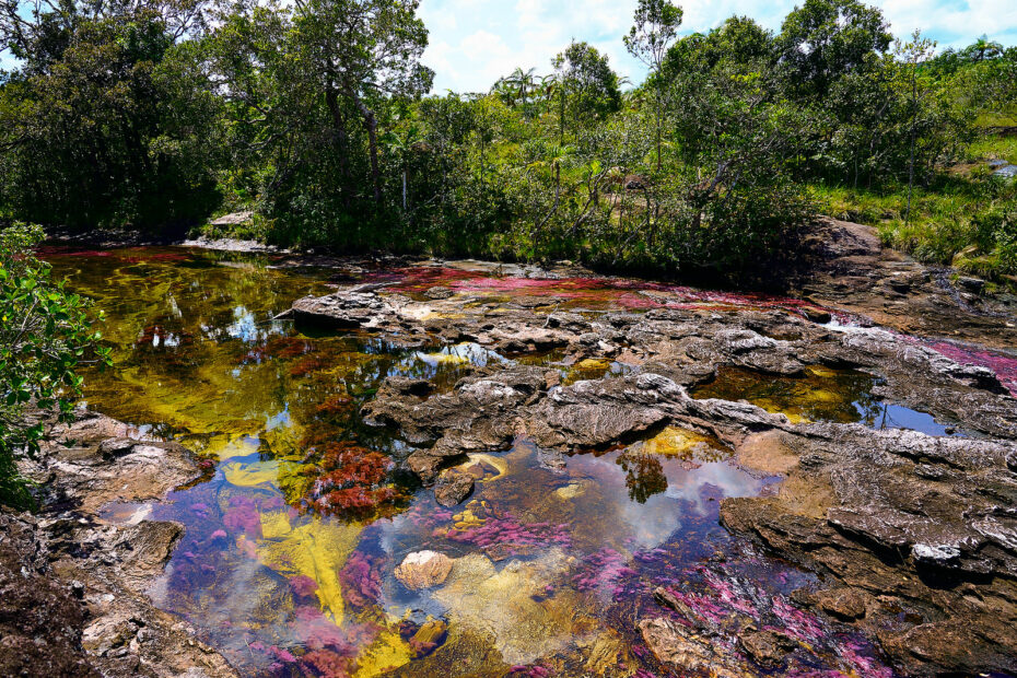 Caño Cristales : la rivière arc-en-ciel de Colombie aux sept couleurs Cano Cristales la riviere arc en ciel de Colombie 2 1 Cano Cristales la riviere arc en ciel de Colombie 2