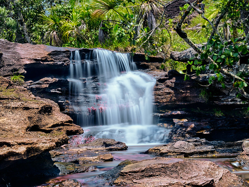 Caño Cristales - la rivière arc-en-ciel de Colombie Cano Cristales la riviere arc en ciel de Colombie 3 Cano-Cristales-la-riviere-arc-en-ciel-de-Colombie-3