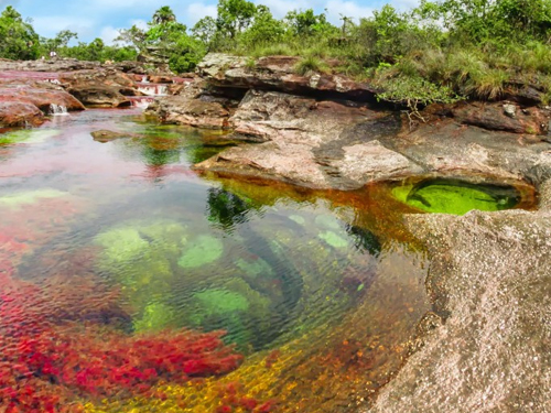 Caño Cristales - la rivière arc-en-ciel de Colombie Cano Cristales la riviere arc en ciel de Colombie 5 Cano-Cristales-la-riviere-arc-en-ciel-de-Colombie-5