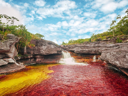 Caño Cristales - la rivière arc-en-ciel de Colombie Cano Cristales la riviere arc en ciel de Colombie 6 Cano-Cristales-la-riviere-arc-en-ciel-de-Colombie-6