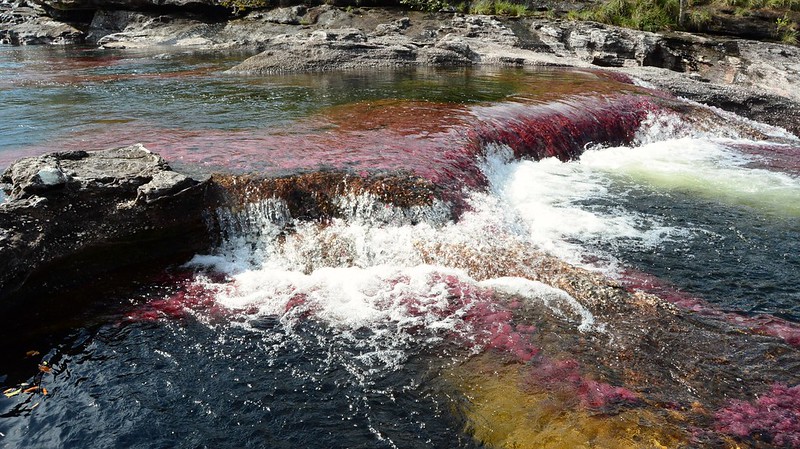 Caño Cristales - la rivière arc-en-ciel de Colombie Cano Cristales la riviere arc en ciel de Colombie 9 Cano-Cristales-la-riviere-arc-en-ciel-de-Colombie-9