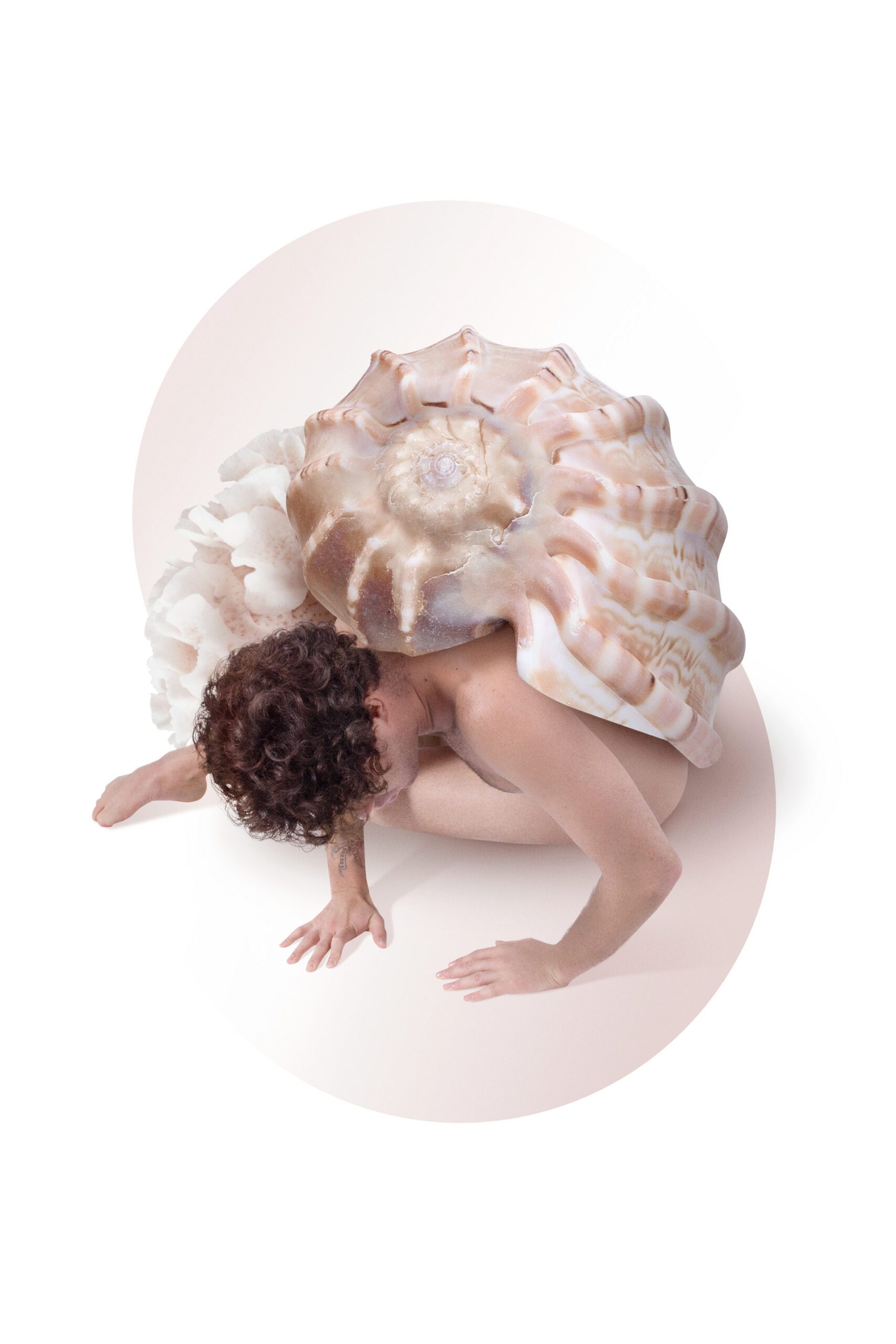 De l'intérieur - des humains en bernard-l'hermite De l interieur from inside des humains en bernard l hermite 5 scaled De-l-interieur-from-inside-des-humains-en-bernard-l-hermite-5