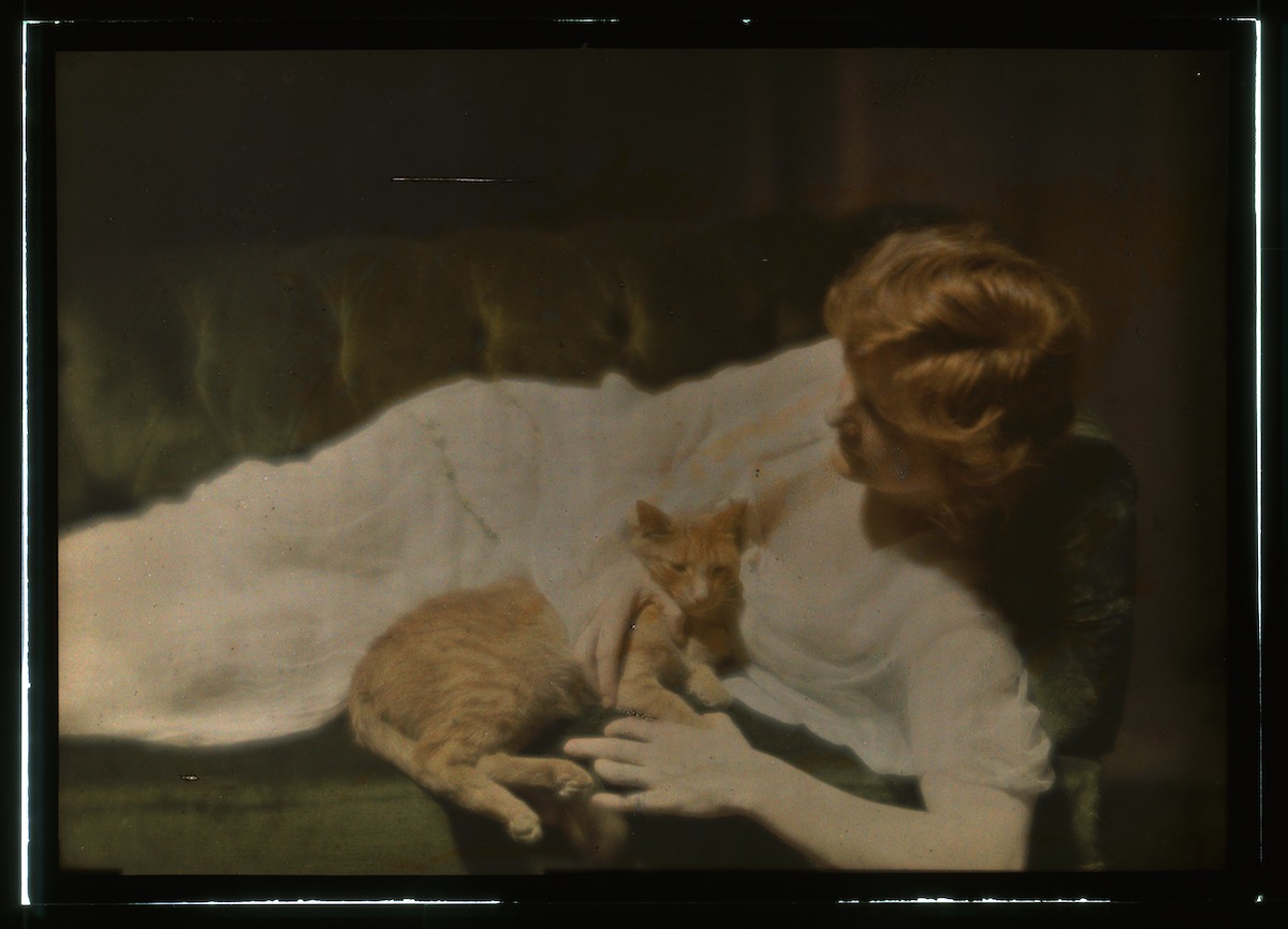 Déjà début du 20eme siècle, des portraits de femmes avec des chats par Arnold Genthe Deja debut du 20eme siecle des portraits de femmes avec des chats par Arnold Genthe 2 Deja-debut-du-20eme-siecle-des-portraits-de-femmes-avec-des-chats-par-Arnold-Genthe-2