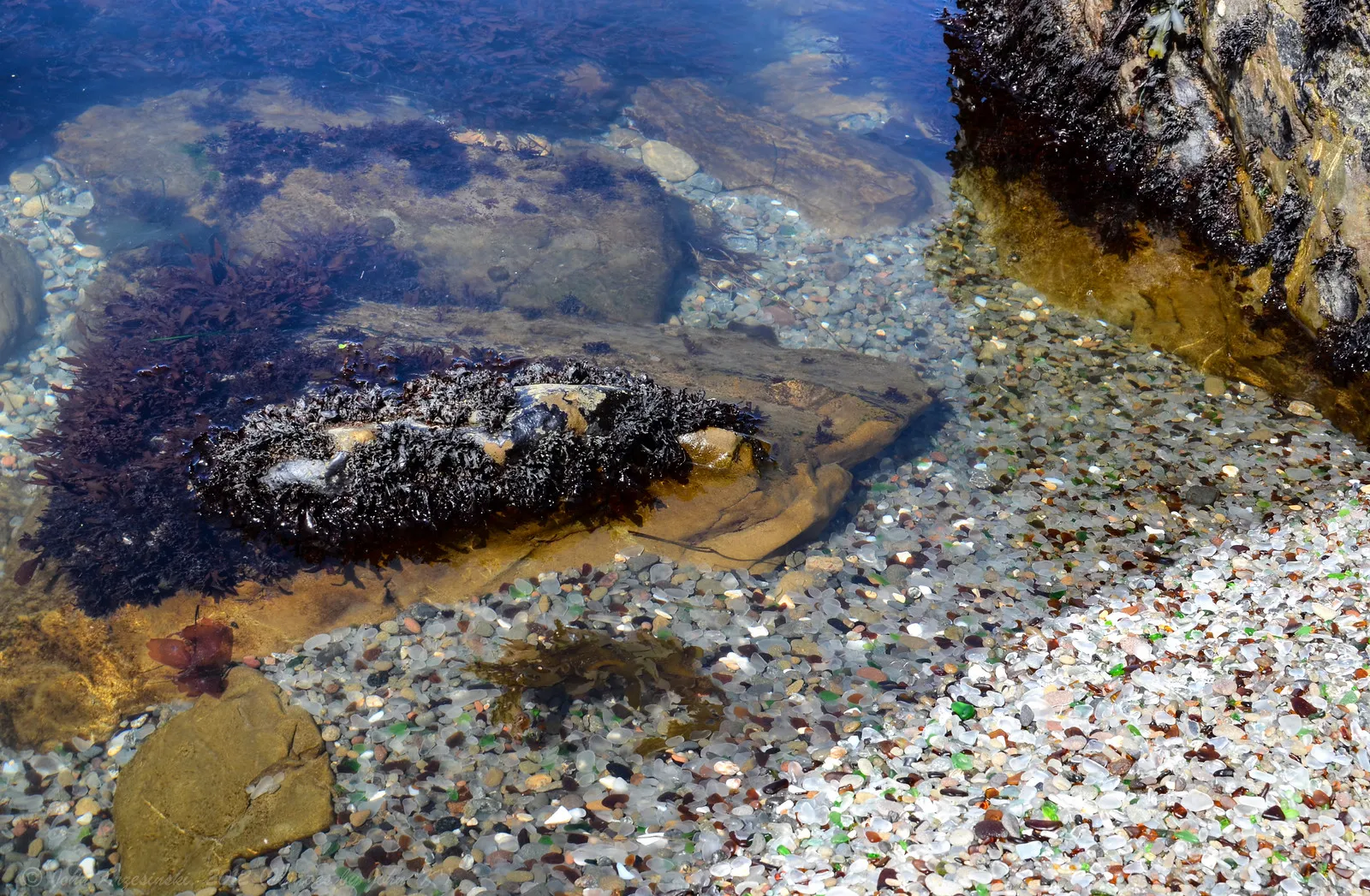 Glass Beach la plage de verre de Fort Bragg en Californie 7 plage de verre de Fort Bragg dans le MacKerricher State Park