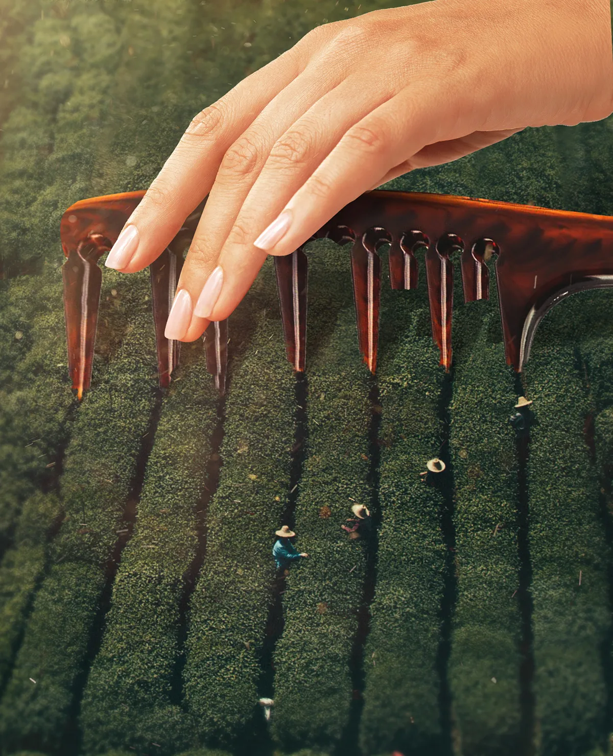 Les images surréalistes et poétiques par Hüseyin Şahin Les collages numeriques de photos de Huseyin sahin 6 es-collages-numeriques-de-photos-de-Huseyin-sahin-6