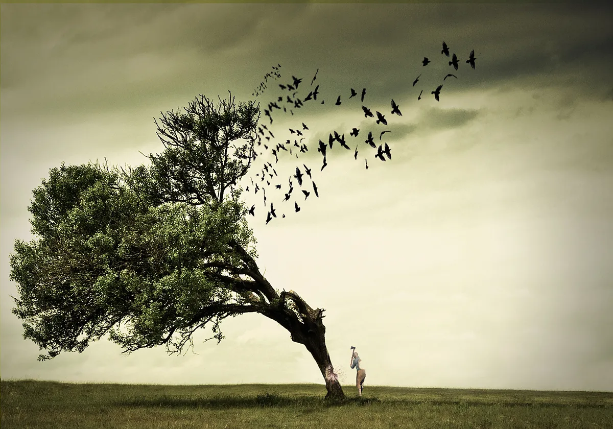 Les images surréalistes et poétiques par Hüseyin Şahin Les collages numeriques de photos de Huseyin sahin 8 Les-collages-numeriques-de-photos-de-Huseyin-sahin-8.