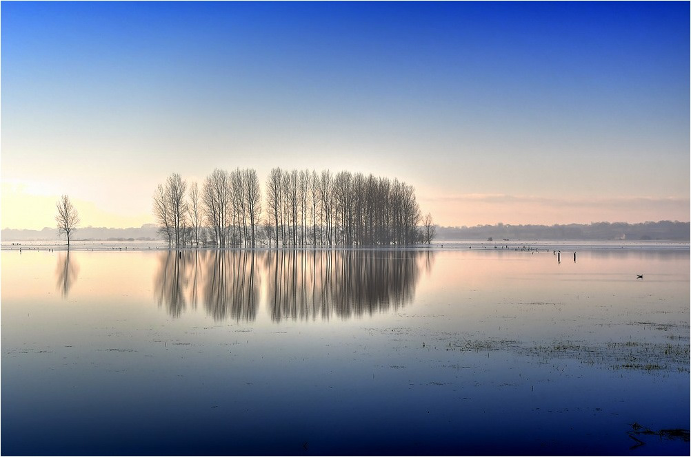 Les marais du Bessin et du Cotentin par Sylvain Viau Les marais du Bessin et du Cotentin par Sylvain Viau 1 Les-marais-du-Bessin-et-du-Cotentin-par-Sylvain-Viau-1