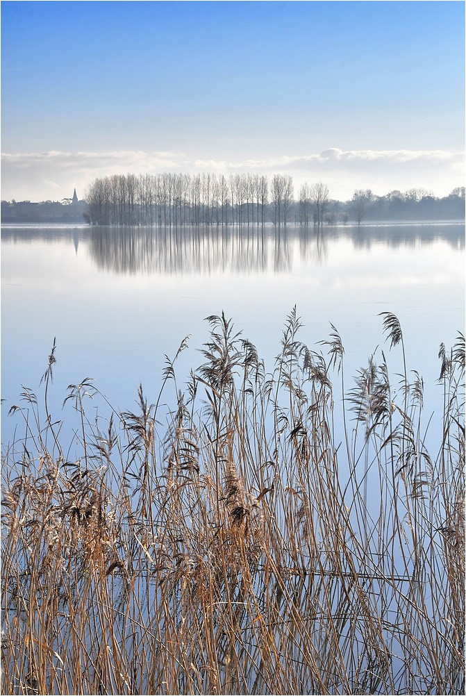 Les marais du Bessin et du Cotentin par Sylvain Viau Les marais du Bessin et du Cotentin par Sylvain Viau 2 Les-marais-du-Bessin-et-du-Cotentin-par-Sylvain-Viau-2
