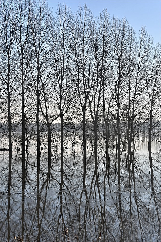 Les marais du Bessin et du Cotentin par Sylvain Viau Les marais du Bessin et du Cotentin par Sylvain Viau 4 Les-marais-du-Bessin-et-du-Cotentin-par-Sylvain-Viau-4