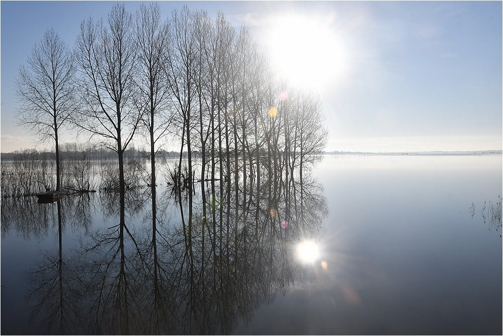 Les marais du Bessin et du Cotentin par Sylvain Viau Les marais du Bessin et du Cotentin par Sylvain Viau 5 Les-marais-du-Bessin-et-du-Cotentin-par-Sylvain-Viau-5