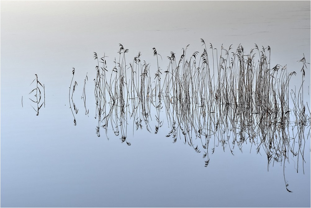 Les marais du Bessin et du Cotentin par Sylvain Viau Les marais du Bessin et du Cotentin par Sylvain Viau 6 Les-marais-du-Bessin-et-du-Cotentin-par-Sylvain-Viau-6