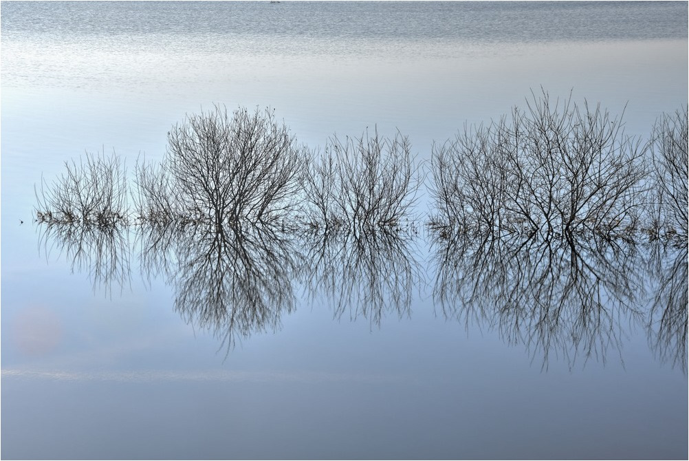 Les marais du Bessin et du Cotentin par Sylvain Viau Les marais du Bessin et du Cotentin par Sylvain Viau 9 Les-marais-du-Bessin-et-du-Cotentin-par-Sylvain-Viau-9