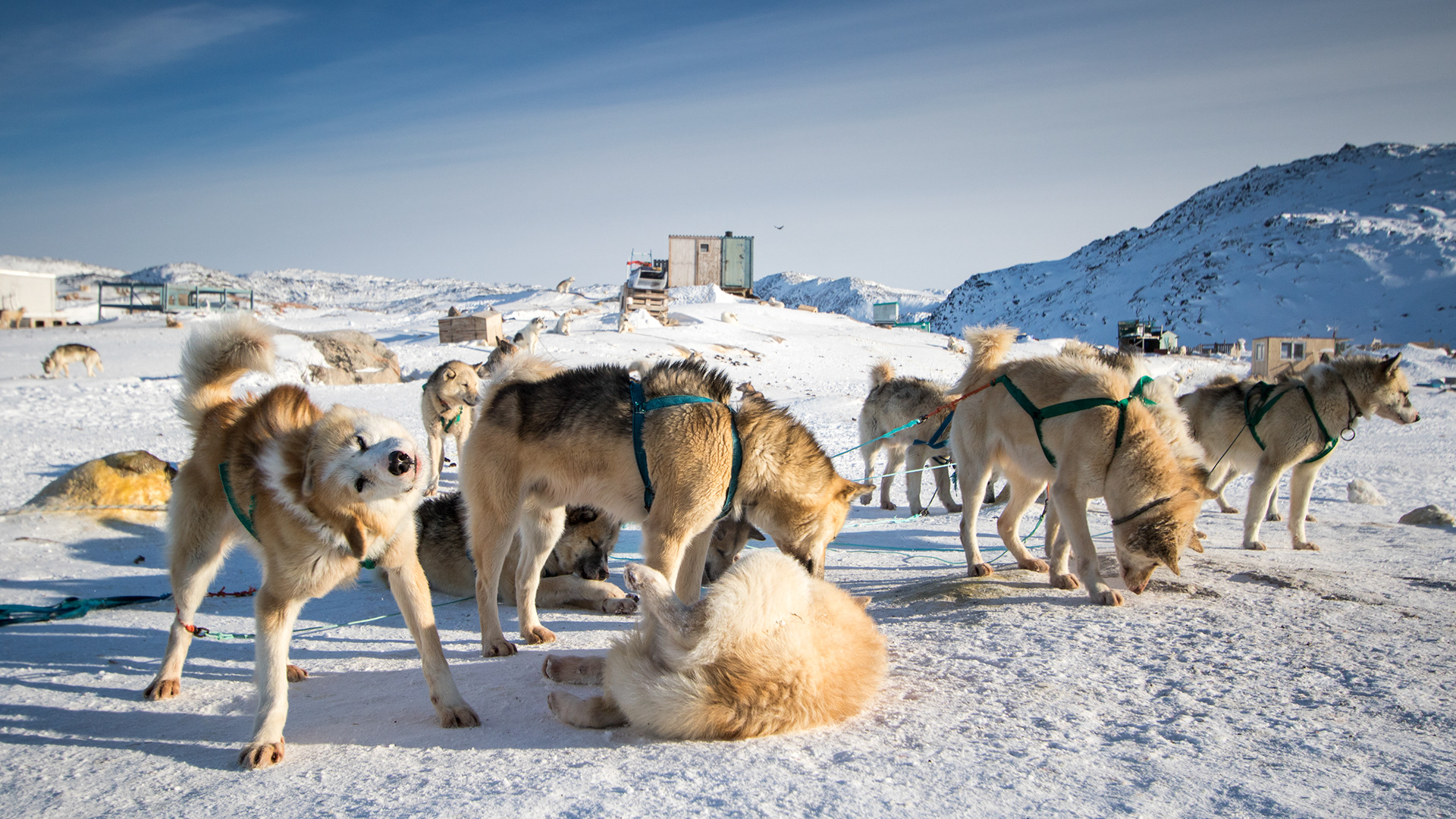 Quelques images de Ilulissat à l'ouest du Groenland par Julien Ratel Quelques images de Ilulissat a l ouest du Groenland par Julien Ratel 18 Quelques-images-de-Ilulissat-a-l-ouest-du-Groenland-par-Julien-Ratel-18