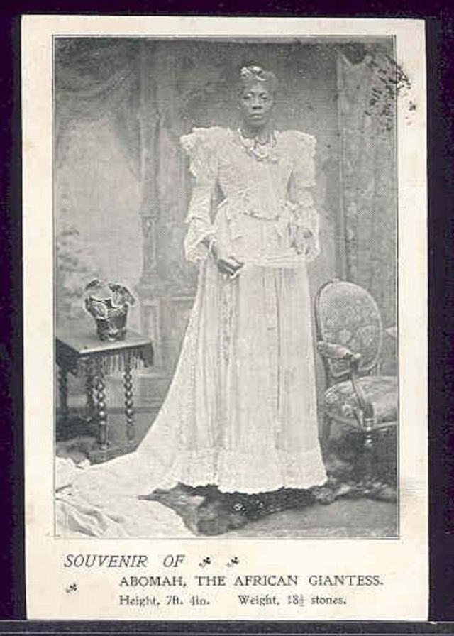 Quelques portraits de Ella Williams alias madame Abomah la géante africaine, la plus grande femme du monde du début 20eme siècle Quelques portraits de Ella Williams alias madame Abomah la plus grande femme du monde de la fin de 19eme debut 20eme siecle 8 Quelques-portraits-de-Ella-Williams-alias-madame-Abomah-la-plus-grande-femme-du-monde-de-la-fin-de-19eme-debut-20eme-siecle-8