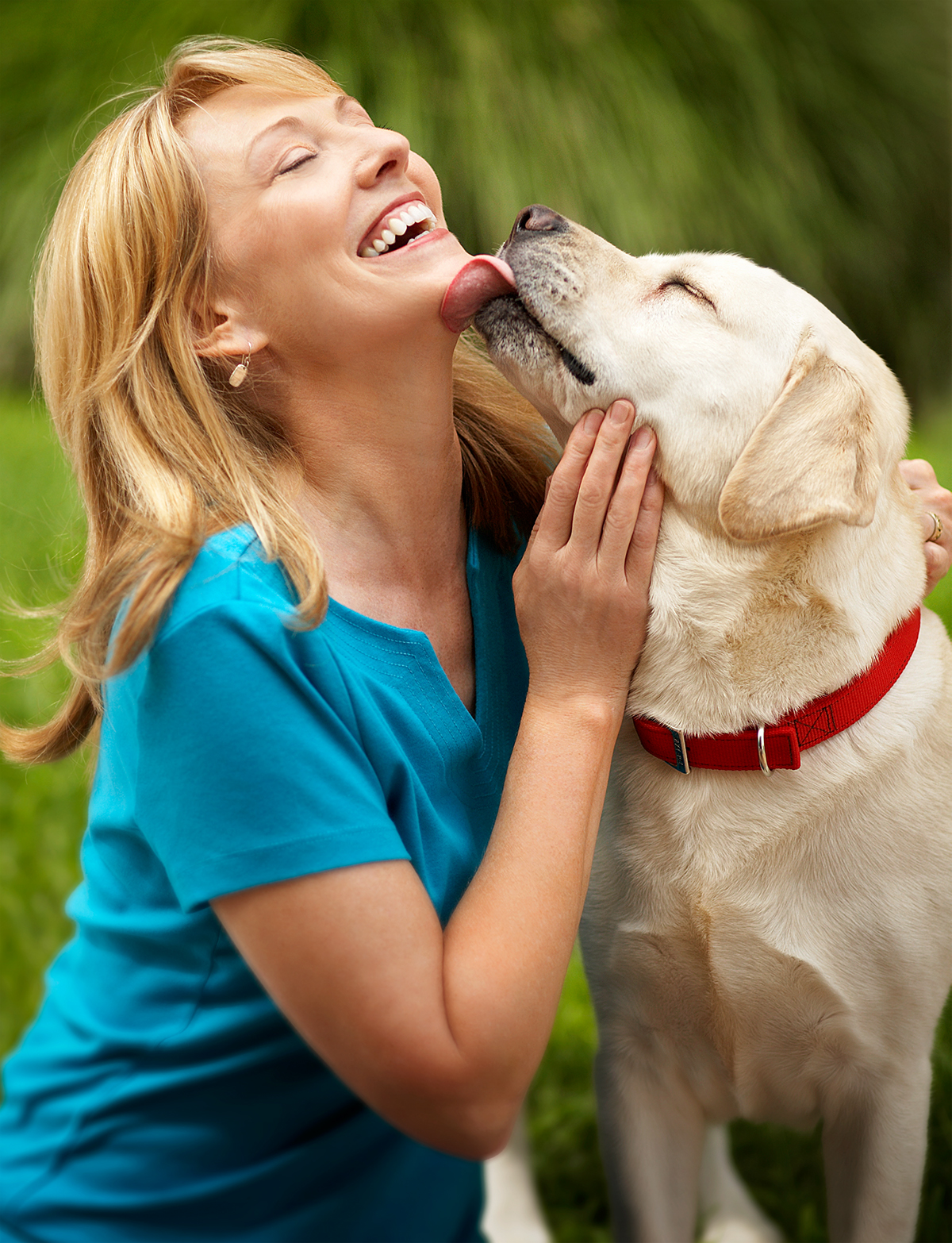 Quelques portraits de chiens par Brandon Voges Quelques portraits de chiens par Brandon Voges 13 Quelques-portraits-de-chiens-par-Brandon-Voges-13