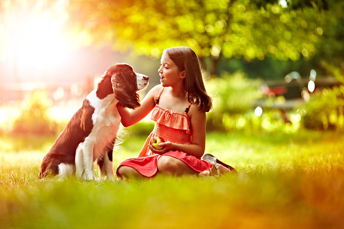 Quelques portraits de chiens par Brandon Voges Quelques portraits de chiens par Brandon Voges 3 Quelques-portraits-de-chiens-par-Brandon-Voges-3