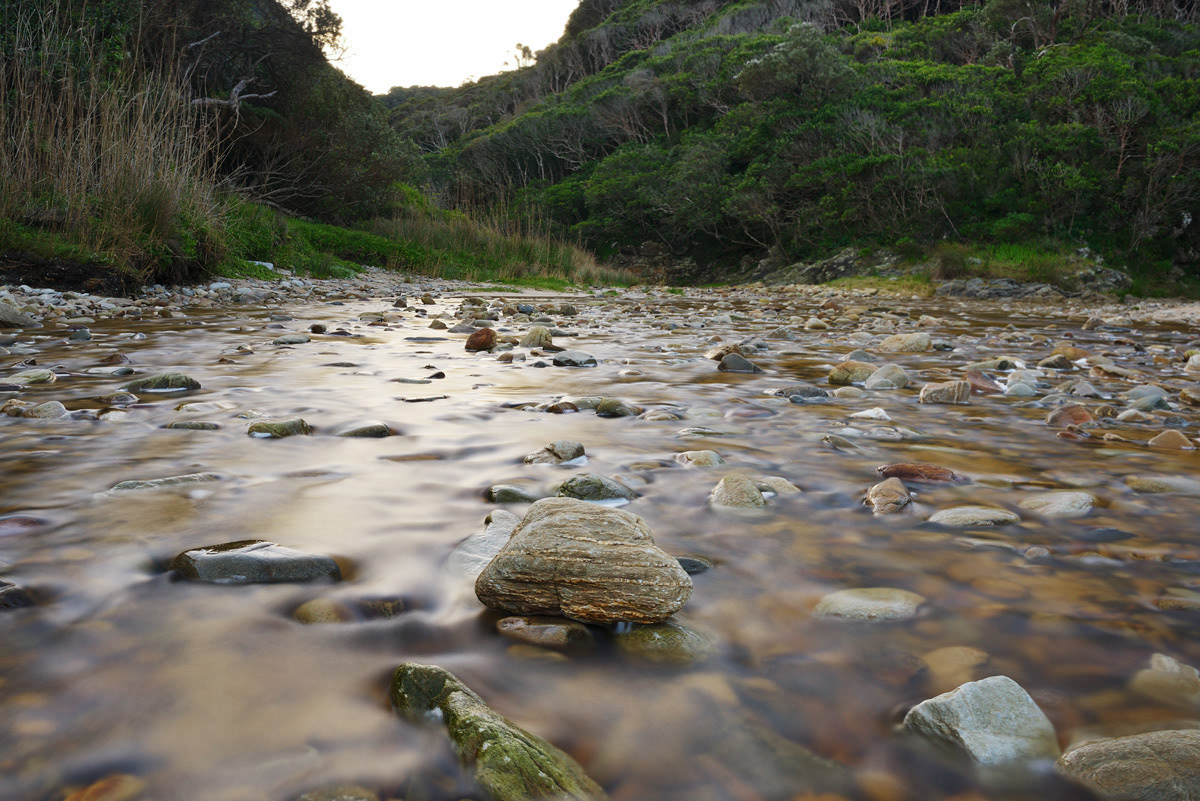 Time and Tide - le magnifique chemin du Otter Trail par Dillon Marsh Time and Tide le magnifique chemin du Otter Trail par Dillon Marsh 7 Time-and-Tide-le-magnifique-chemin-du-Otter-Trail-par-Dillon-Marsh-7