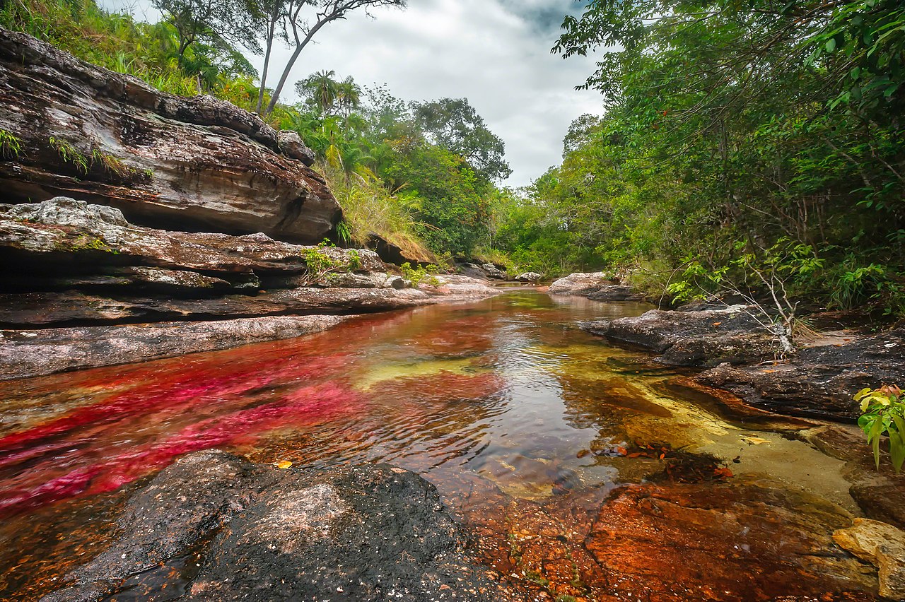 Caño Cristales, la rivière arc-en-ciel de Colombie avec son lit rouge et coloré Caño Cristales, la rivière arc-en-ciel de Colombie avec son lit rouge et coloré