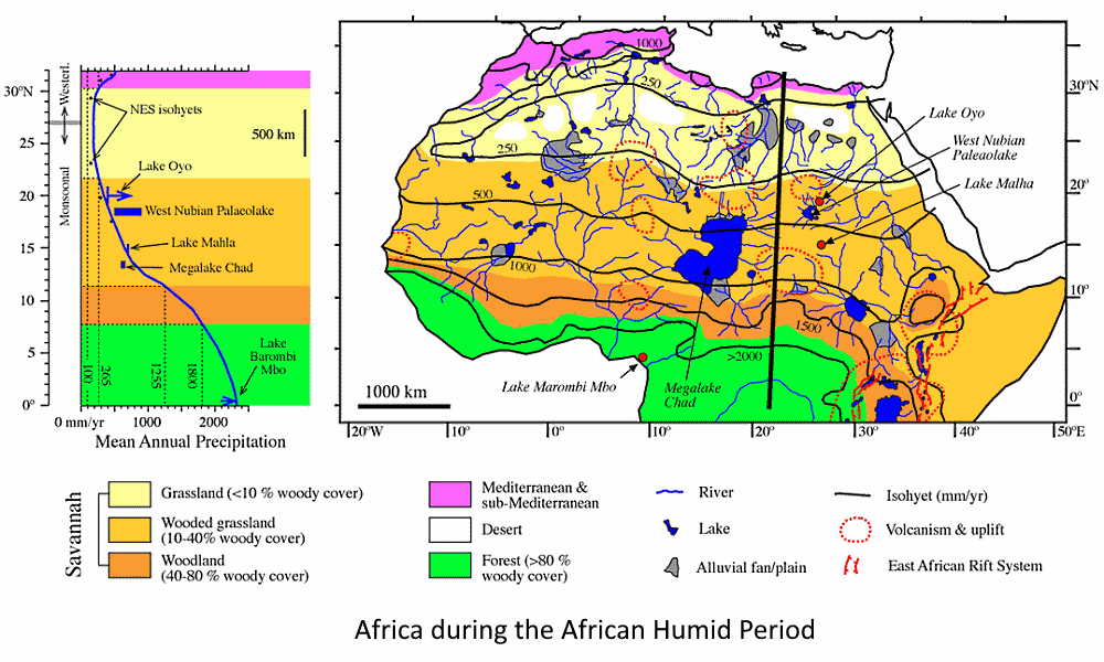 La grotte des nageurs du Sahara sahara periode humide africaine sahara-periode-humide-africaine