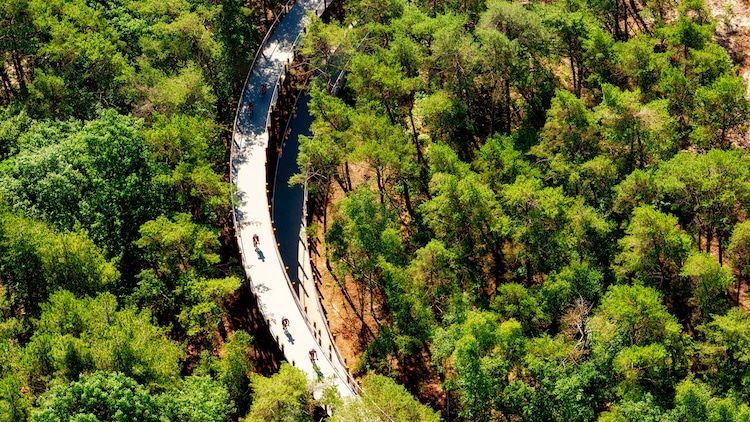 Pédaler dans les Arbres - une piste cyclable circulaire avec un étage dans le Limbourg Pedaler dans les Arbres une piste cyclable circulaire avec un etage dans le Limbourg 2 Pedaler-dans-les-Arbres-une-piste-cyclable-circulaire-avec-un-etage-dans-le-Limbourg-2