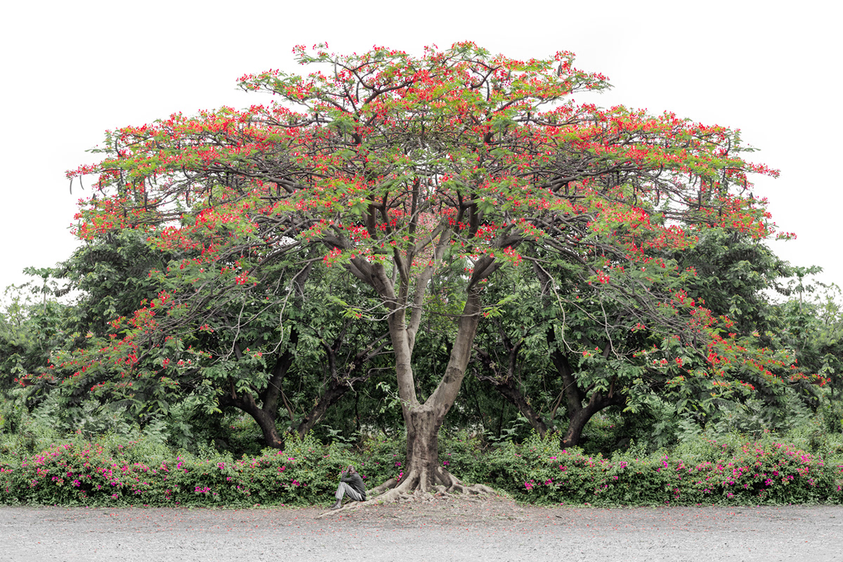 Perspe XVI, XVII - perspective et symétrie par Gustav Willeit Perspe XVI XVII perspective et symetrie par Gustav Willeit 13 Perspe-XVI-XVII-perspective-et-symetrie-par-Gustav-Willeit-13