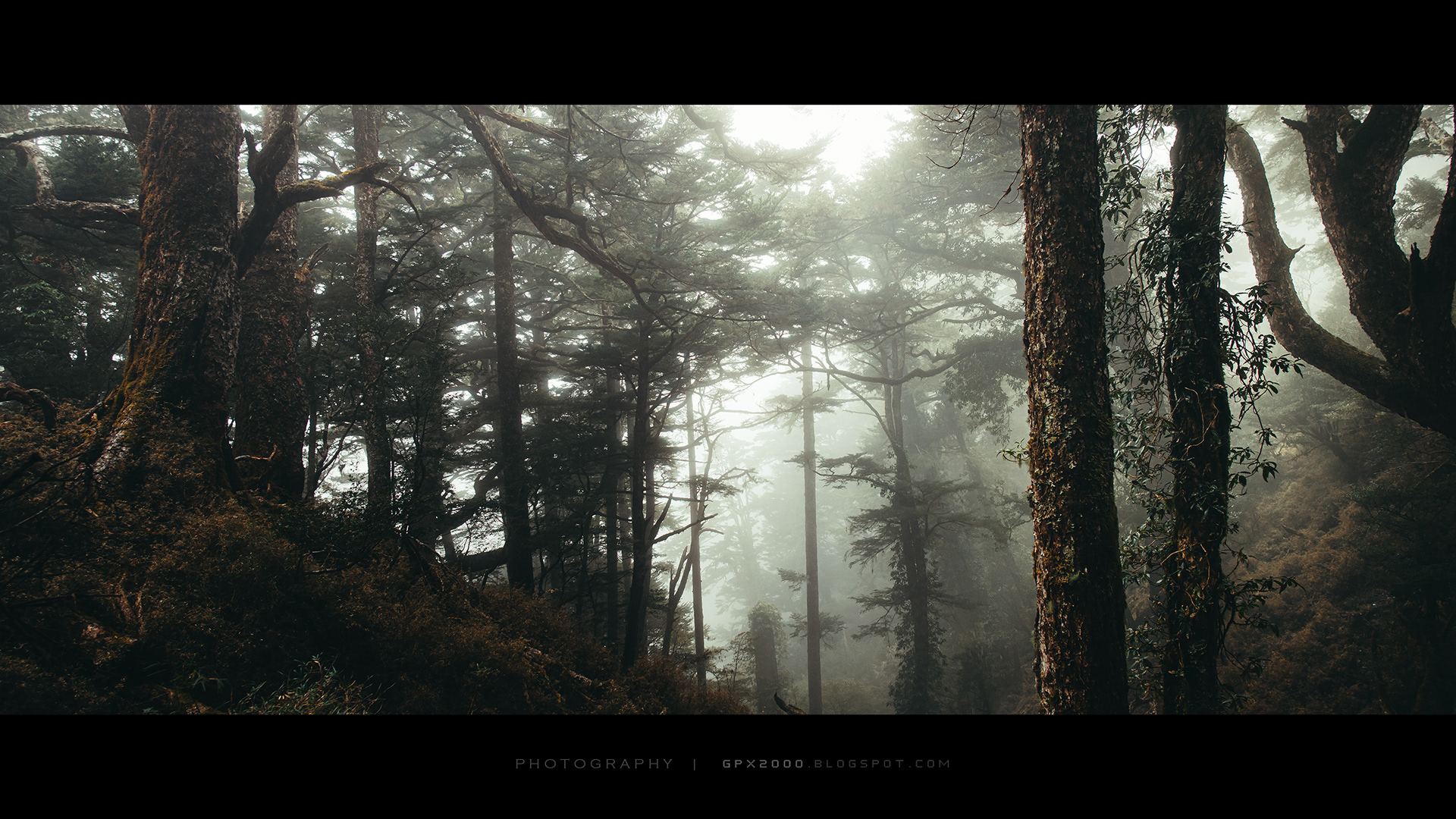 Un trek au lac Jiaming par Bo wen Huang un trek au lac Jiaming par Bo wen Huang 2 un-trek-au-lac-Jiaming-par-Bo-wen-Huang-2