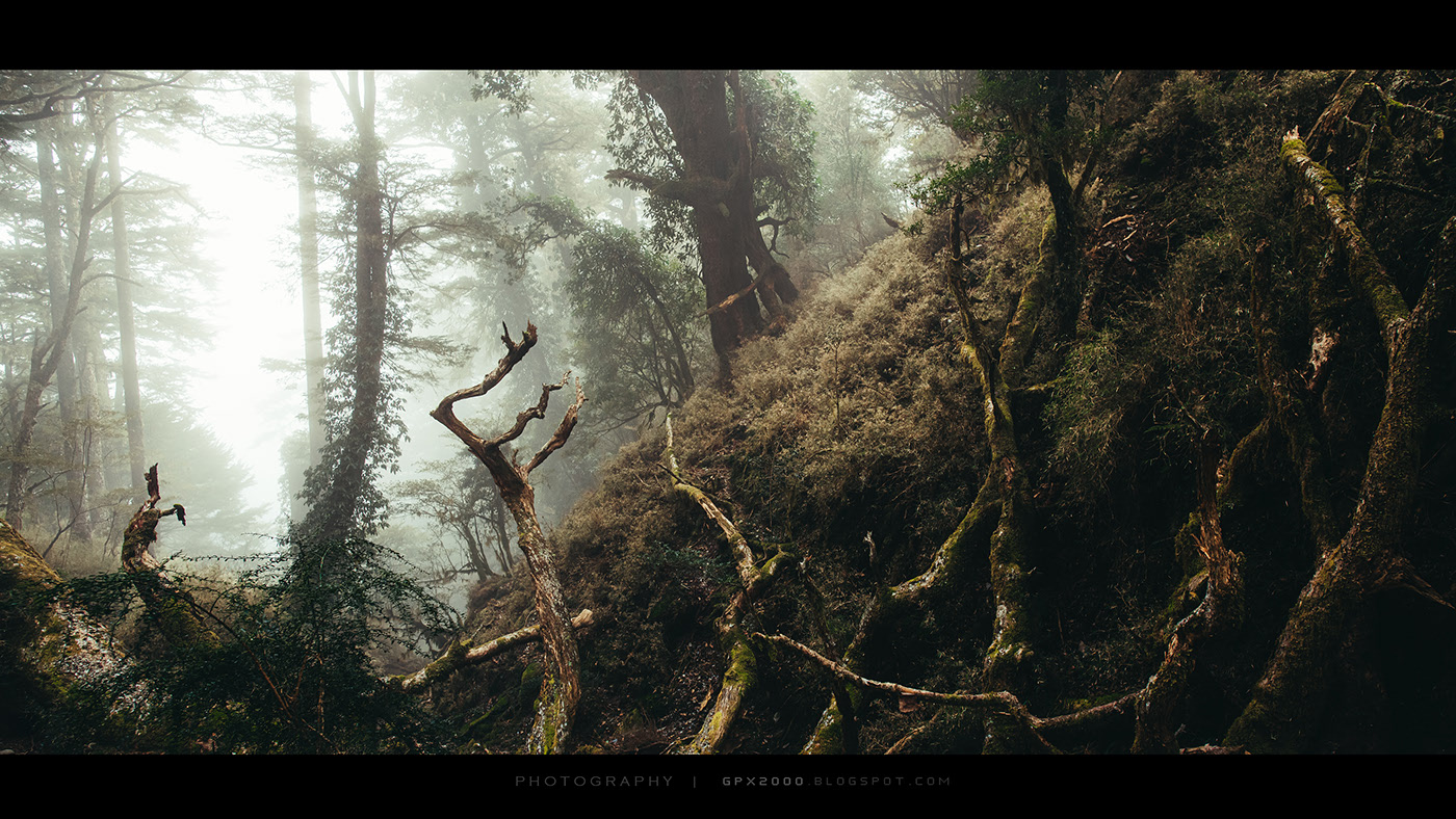 Un trek au lac Jiaming par Bo wen Huang un trek au lac Jiaming par Bo wen Huang 7 un-trek-au-lac-Jiaming-par-Bo-wen-Huang-7