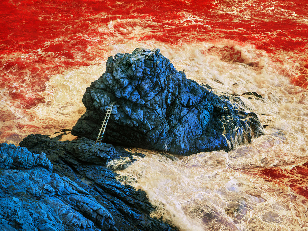 Fever - la nature a la fièvre sous l'objectif de Dillon Marsh Fever la nature a la fievre sous l objectif de Dillon Marsh 1 Fever-la-nature-a-la-fievre-sous-l-objectif-de-Dillon-Marsh-1