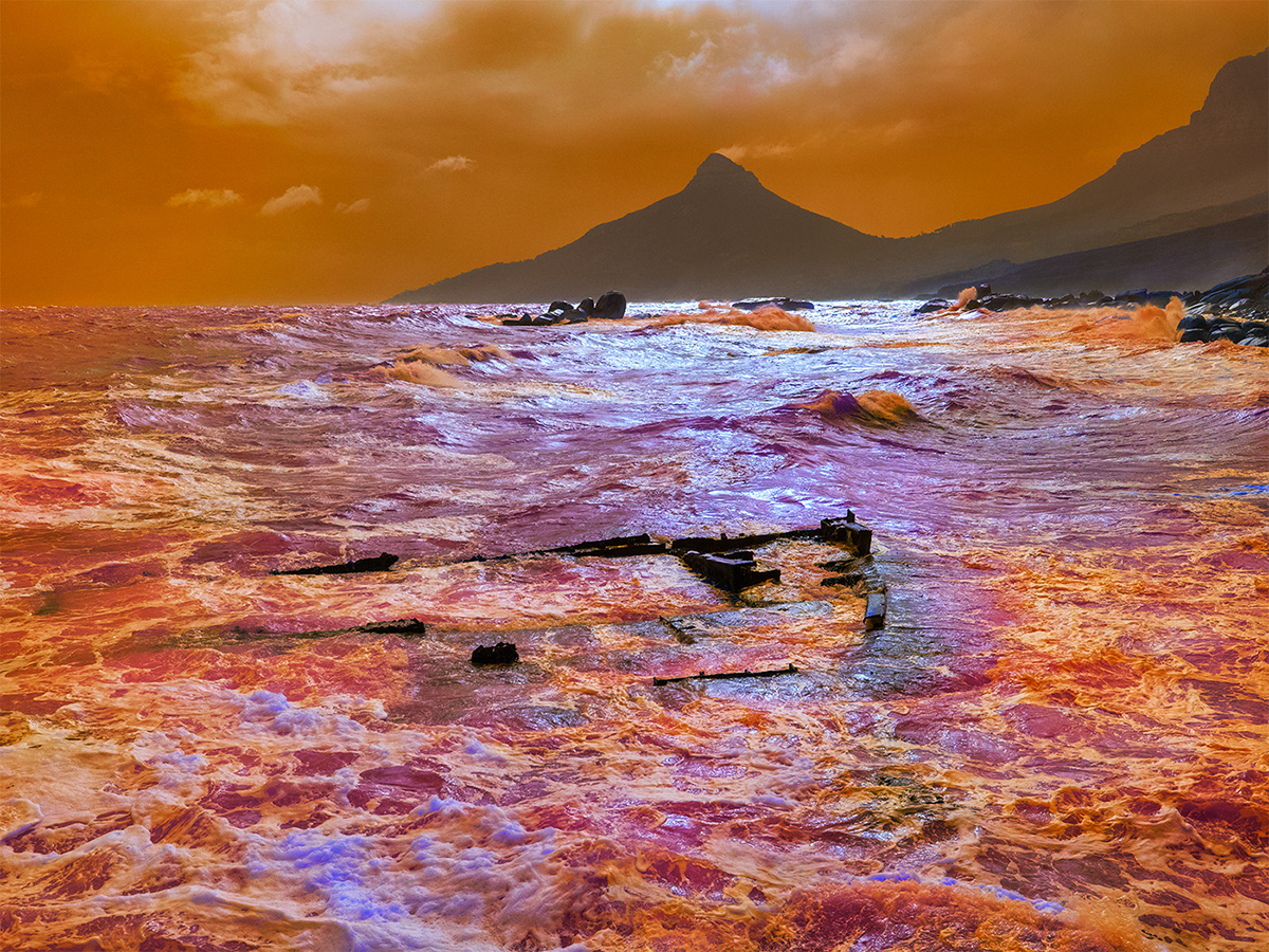 Fever - la nature a la fièvre sous l'objectif de Dillon Marsh Fever la nature a la fievre sous l objectif de Dillon Marsh 10 Fever-la-nature-a-la-fievre-sous-l-objectif-de-Dillon-Marsh-10