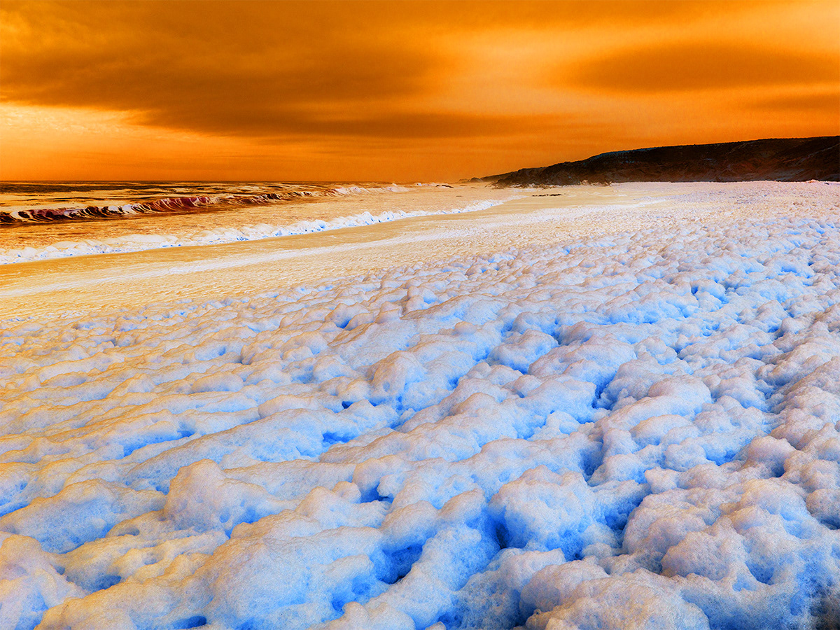 Fever - la nature a la fièvre sous l'objectif de Dillon Marsh Fever la nature a la fievre sous l objectif de Dillon Marsh 11 Fever-la-nature-a-la-fievre-sous-l-objectif-de-Dillon-Marsh-11