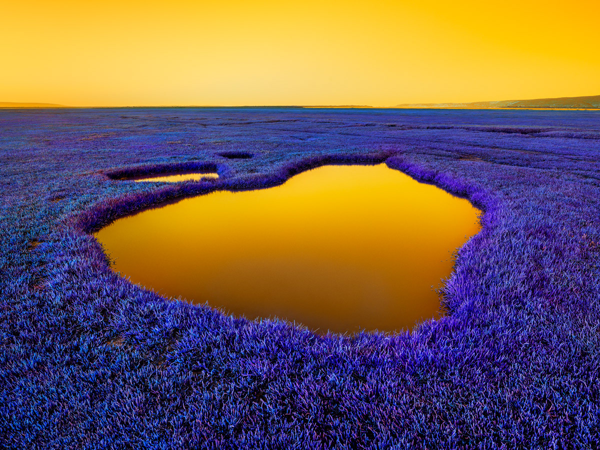 Fever - la nature a la fièvre sous l'objectif de Dillon Marsh Fever la nature a la fievre sous l objectif de Dillon Marsh 4 Fever-la-nature-a-la-fievre-sous-l-objectif-de-Dillon-Marsh-4