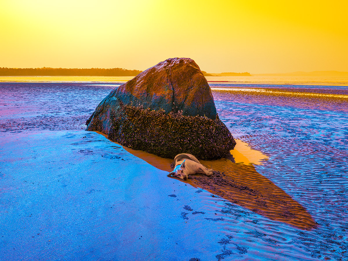 Fever - la nature a la fièvre sous l'objectif de Dillon Marsh Fever la nature a la fievre sous l objectif de Dillon Marsh 8 Fever-la-nature-a-la-fievre-sous-l-objectif-de-Dillon-Marsh-8