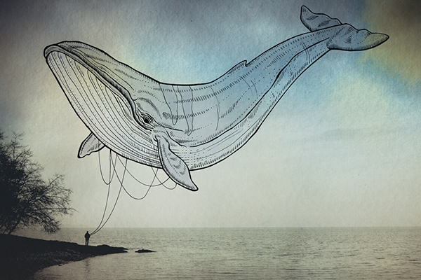 Oceanographies - des animaux marins flottant au dessus des eaux comme des cerf-volants Oceanographies des animaux marins flottant au dessus des eaux 2 baleine Oceanographies-des-animaux-marins-flottant-au-dessus-des-eaux-2-baleine