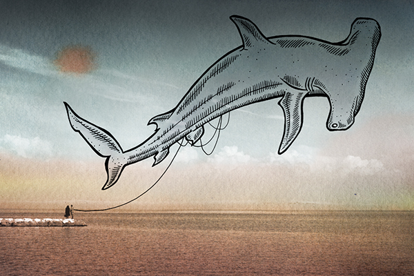 Oceanographies - des animaux marins flottant au dessus des eaux comme des cerf-volants Oceanographies des animaux marins flottant au dessus des eaux 5 requin marteau Oceanographies-des-animaux-marins-flottant-au-dessus-des-eaux-5-requin-marteau