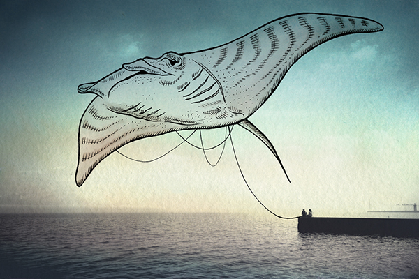 Oceanographies - des animaux marins flottant au dessus des eaux comme des cerf-volants Oceanographies des animaux marins flottant au dessus des eaux 6 raie Oceanographies-des-animaux-marins-flottant-au-dessus-des-eaux-6-raie