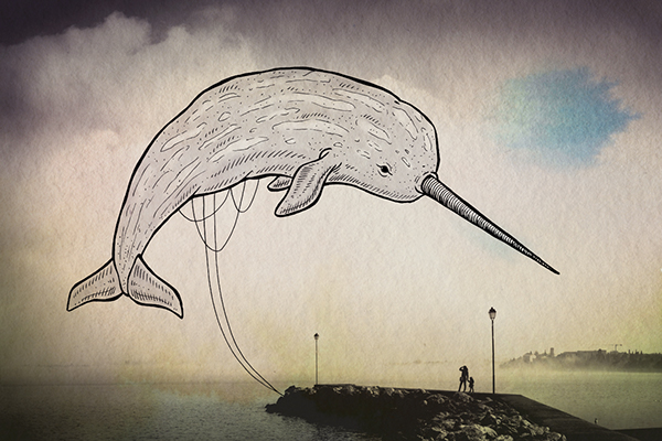 Oceanographies - des animaux marins flottant au dessus des eaux comme des cerf-volants Oceanographies des animaux marins flottant au dessus des eaux 7 narval Oceanographies-des-animaux-marins-flottant-au-dessus-des-eaux-7-narval