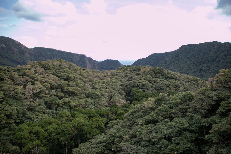 l'ile volcan de Aoga-shima - le volcan de Tokyo l ile volcan de Aoga shima le volcan de Tokyo 12 l-ile-volcan-de-Aoga-shima-le-volcan-de-Tokyo-12