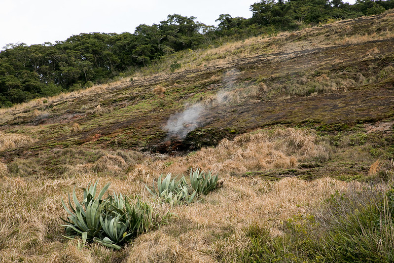 l'ile volcan de Aoga-shima - le volcan de Tokyo l ile volcan de Aoga shima le volcan de Tokyo 7 l-ile-volcan-de-Aoga-shima-le-volcan-de-Tokyo-7