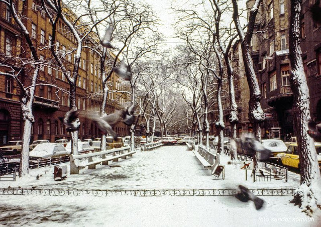 34 photos vintages de Budapest dans les années 80 34 photos vintages de Budapest dans les annees 80 14 34-photos-vintages-de-Budapest-dans-les-annees-80-14