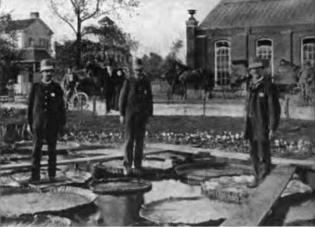 Fin du 19eme siècle, la tendance était de se faire prendre en photo debout sur un nénuphar géant Fin du 19eme siecle la tendance etait de se faire prendre en photo debout sur un nenuphar geant 6 Fin-du-19eme-siecle-la-tendance-etait-de-se-faire-prendre-en-photo-debout-sur-un-nenuphar-geant-6